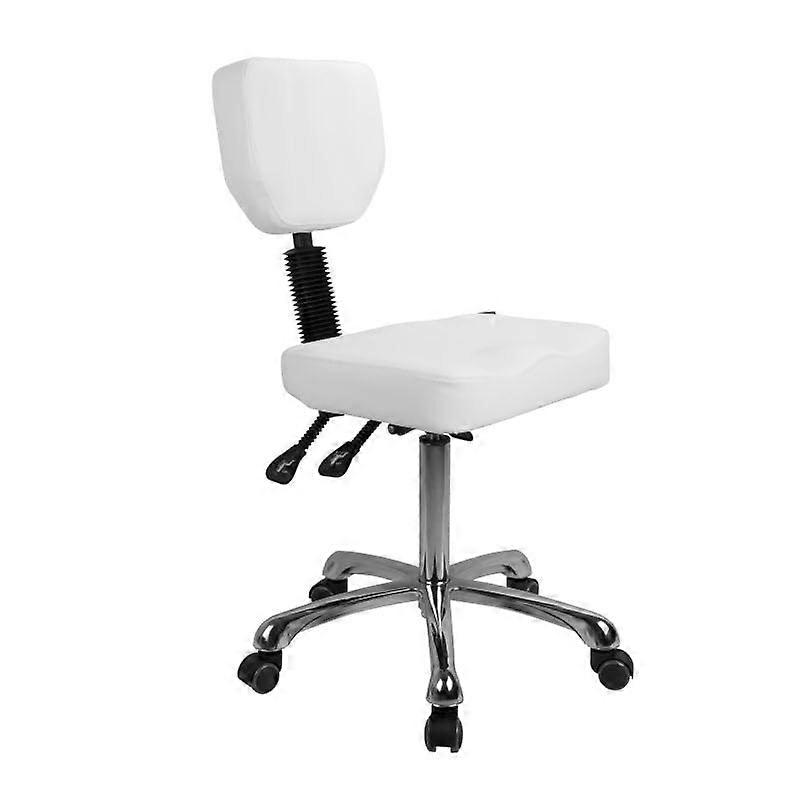 Rolling Stool with Backrest, Height Adjustable Seat, Ergonomic Support for Salon and Studio