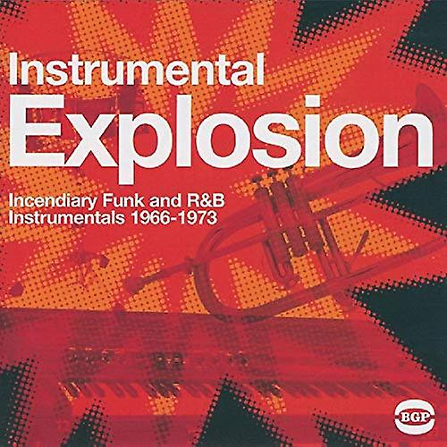 Various Artists - Instrumental Explosion [CD] (様々なアーティスト - インストゥルメンタル爆発 [CD])