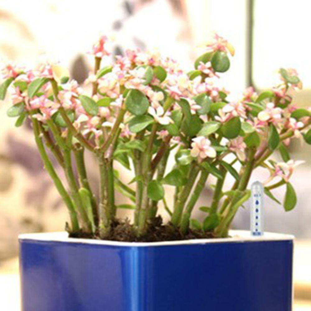 3 Pieces Water Level Indicator Soil Moisture Meter Moisture Sensor Probe For Plants