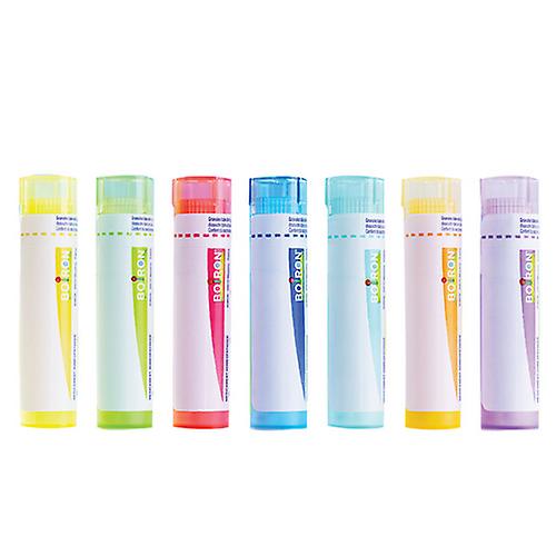 Sabina 30 Ch, 80 Count by Boiron (Pack of 3)