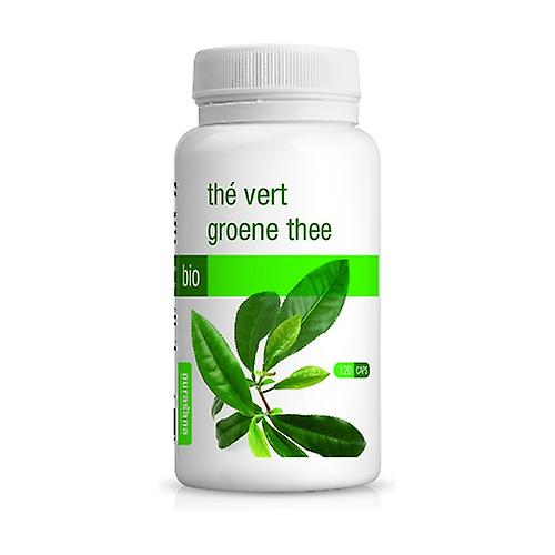 Eco Green Tea 120 capsules