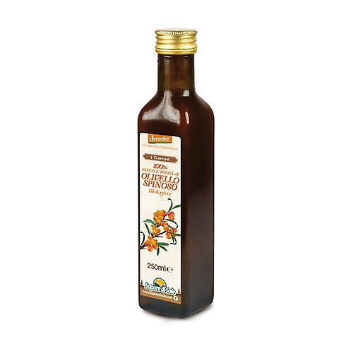 Sea Buckthorn Juice and Pulp 250 ml (Sea buckthorn)