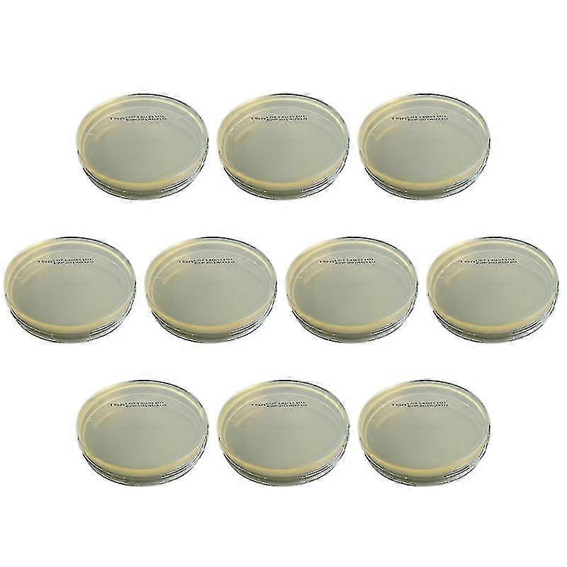 10pcs Agar Plates