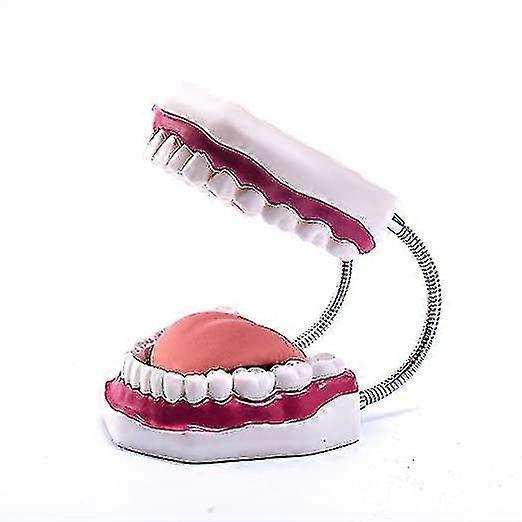 Big Tooth Model 6 Times Magnified Mouth Model With 32 Teeth And Movable Tongue For Dental Presentation And Speech Language Training 1 Piece Picture Co