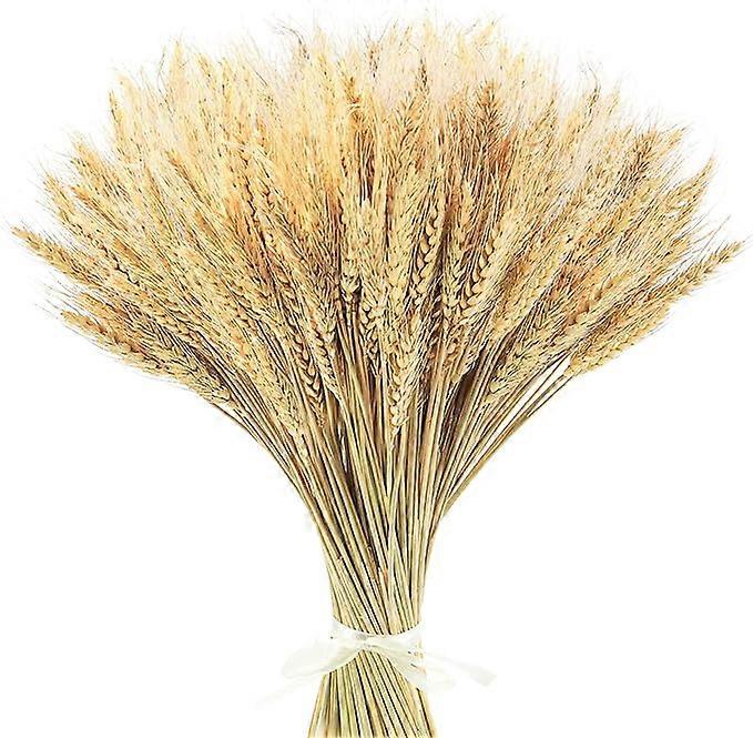 100pcs αποξηραμένα λουλούδια 100% φυσικό σιτάρι για το σπίτι Κουζίνα Γαμήλιο πάρτι Τραπέζι Κεντρικό κομμάτι Συγκομιδή Στεφάνι Boho Farmhouse DIY Διακόσμηση, 100% Νέο