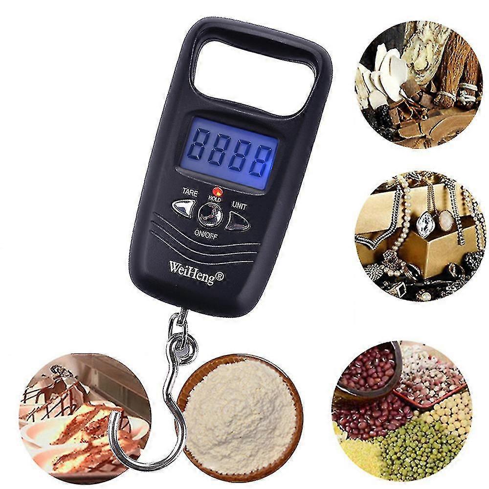 Portable 50kg Double Digital Electronic Ing Hook Pocket Scale
