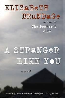 A Stranger Like You