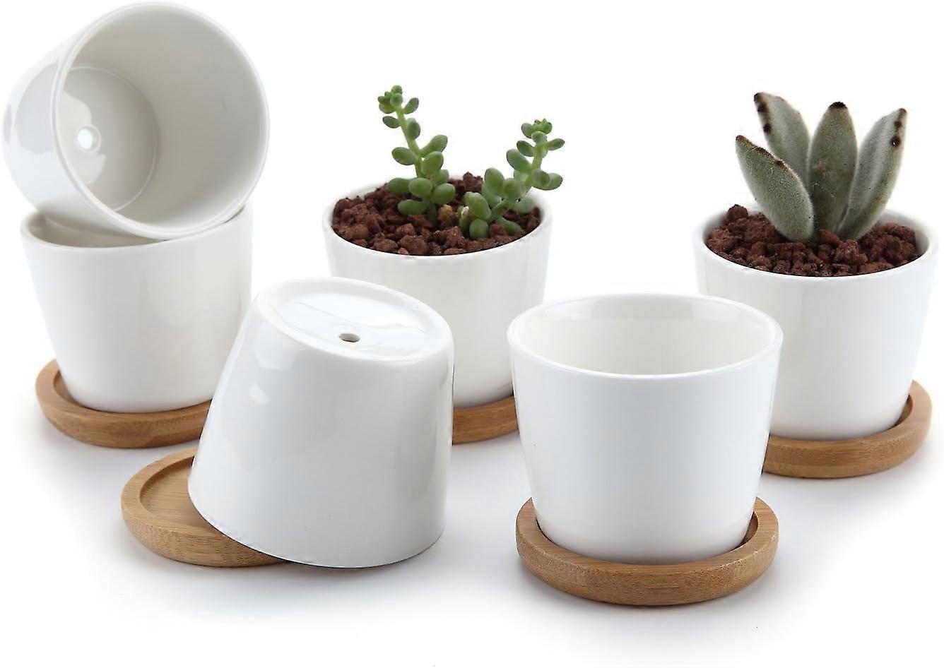 Stylish Functional Modern Succulent Pots