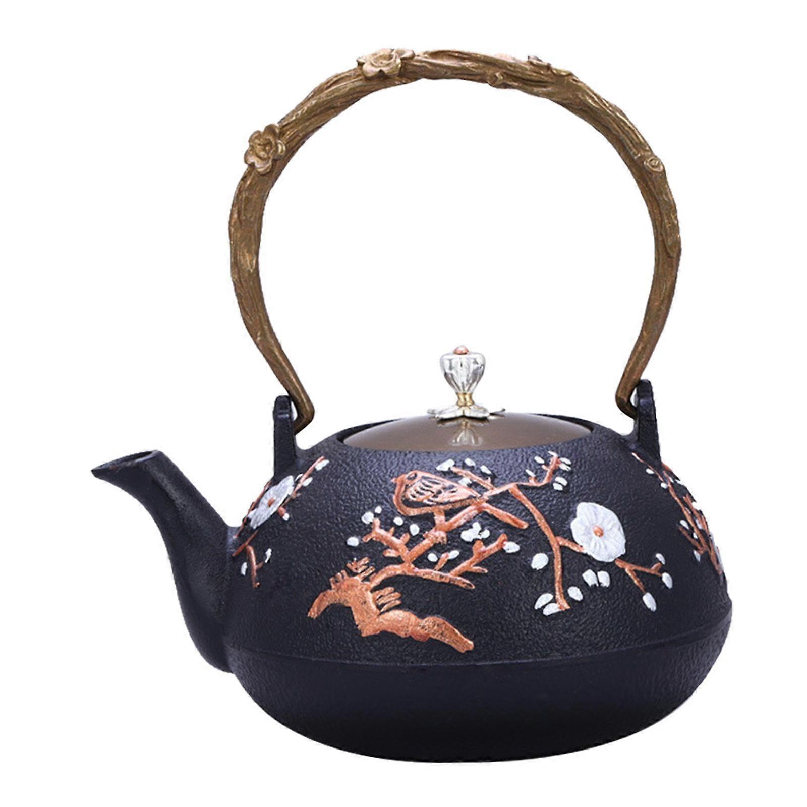 Cast Iron Teapot Coated with Enamel Interior Rust Proof for All Stovetop