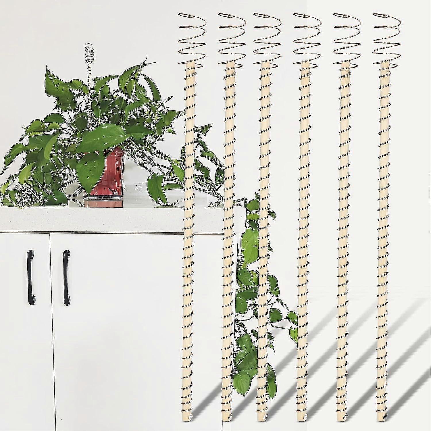 電気栽培植物支柱、銅線植物サポート支柱電気栽培園芸銅コイルアンテナ植物栽培用 - 6個