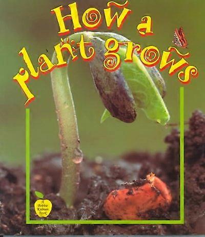 How A Plant Grows