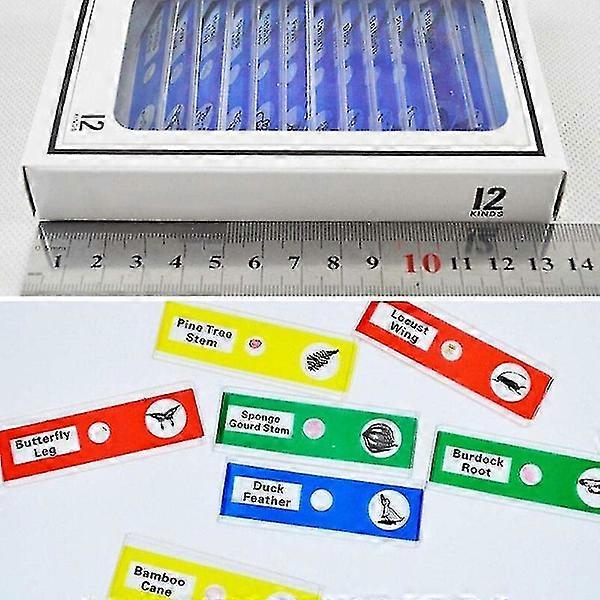 12 pcs Prepared Plastic Microscope Slides Biological Specimens