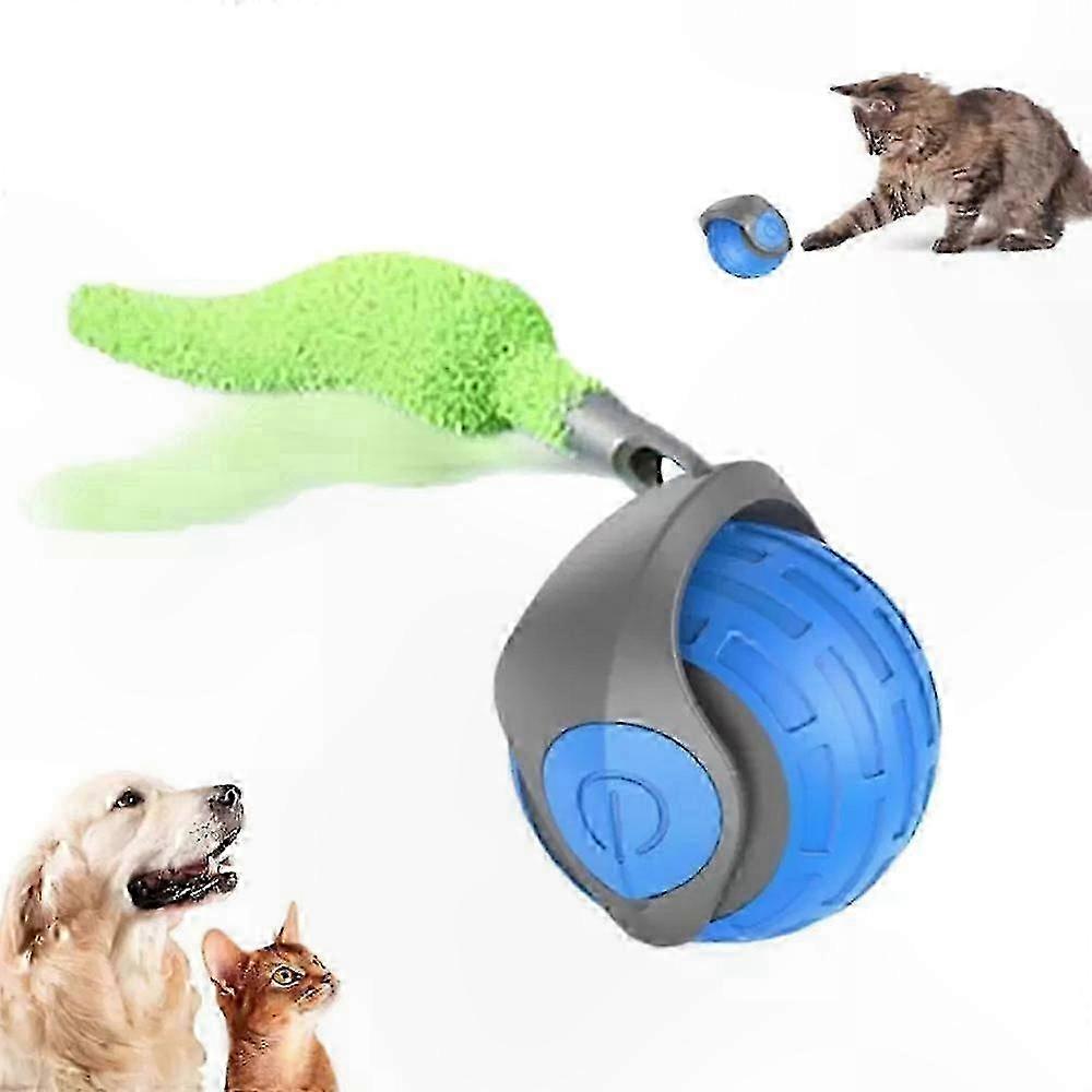 Interactive Cat Toy with Dynamic Movement and Automatic Operation for Feline Fun