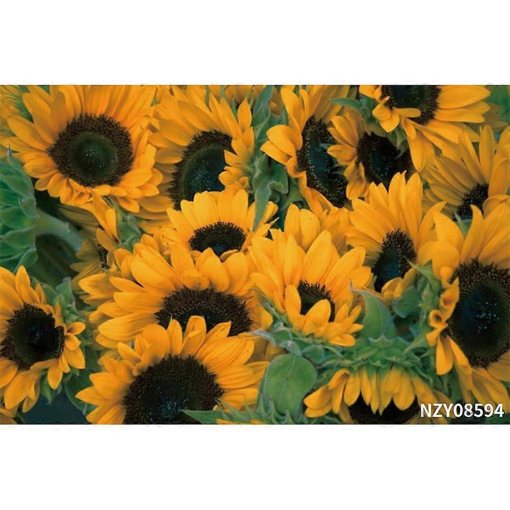 Laeacco Sunflowers Sunset Scenic Nature Light Bokeh Room Decro Photography Backgrounds Photographic Backdrops For Photo Studio