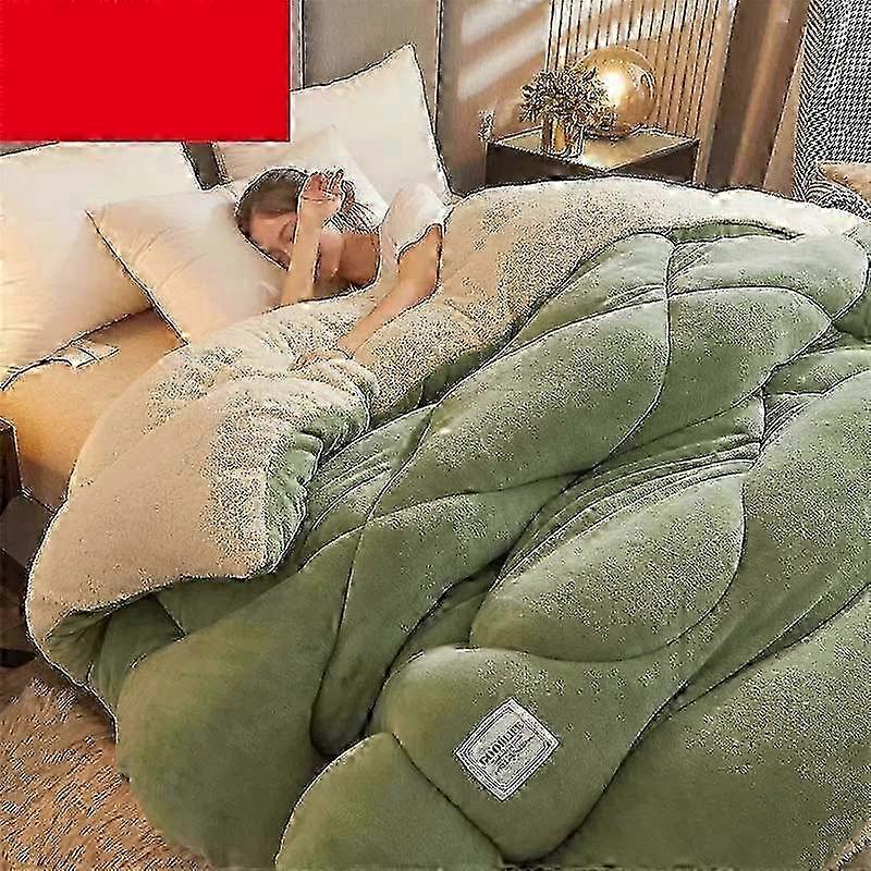 Coral Velvet Quilt with Cotton Wadding Soft Reversible Velvet Thicken Keep Warm Pile Quilt Core Mattress Silk Floss Breathable Autumn and Winter miao7
