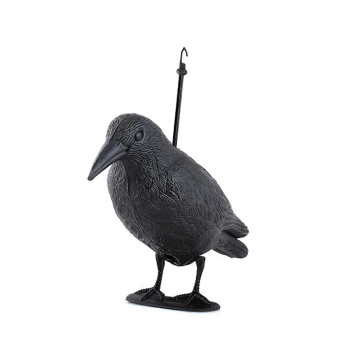 Bird keeper - raven