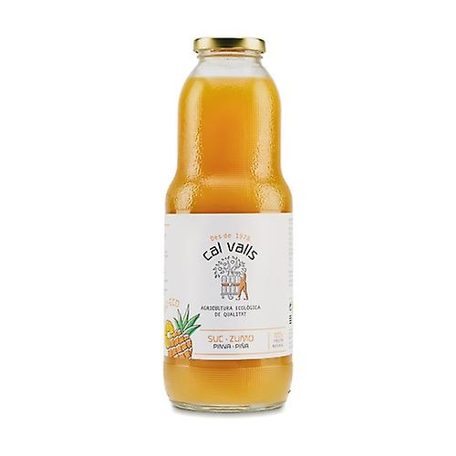 Ecological Pineapple Juice 1 L (Pineapple)