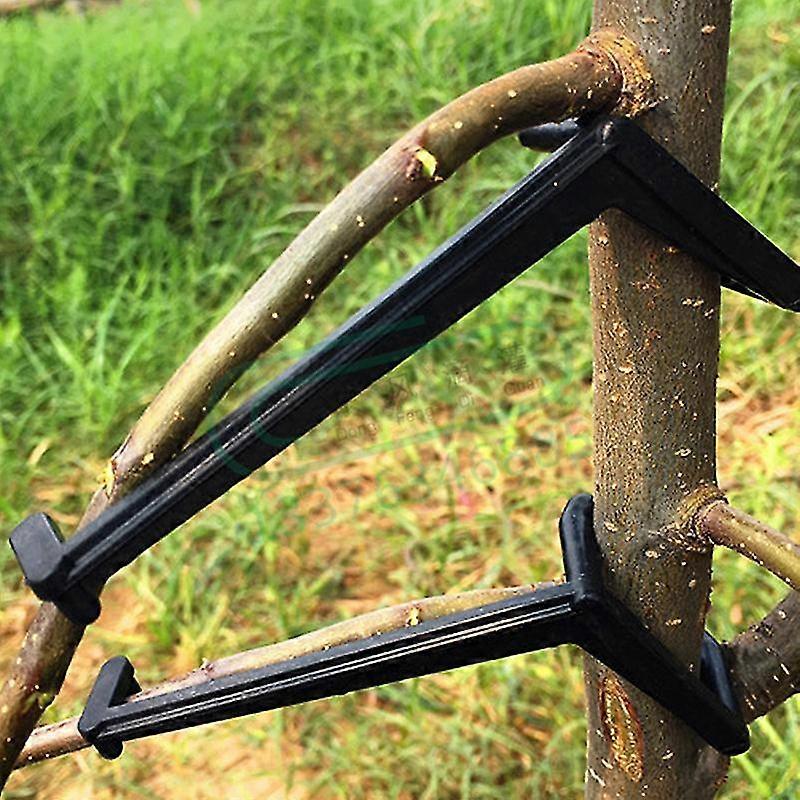 10pcs fruit tree branches holder fruit branch spreader tree branch support frame