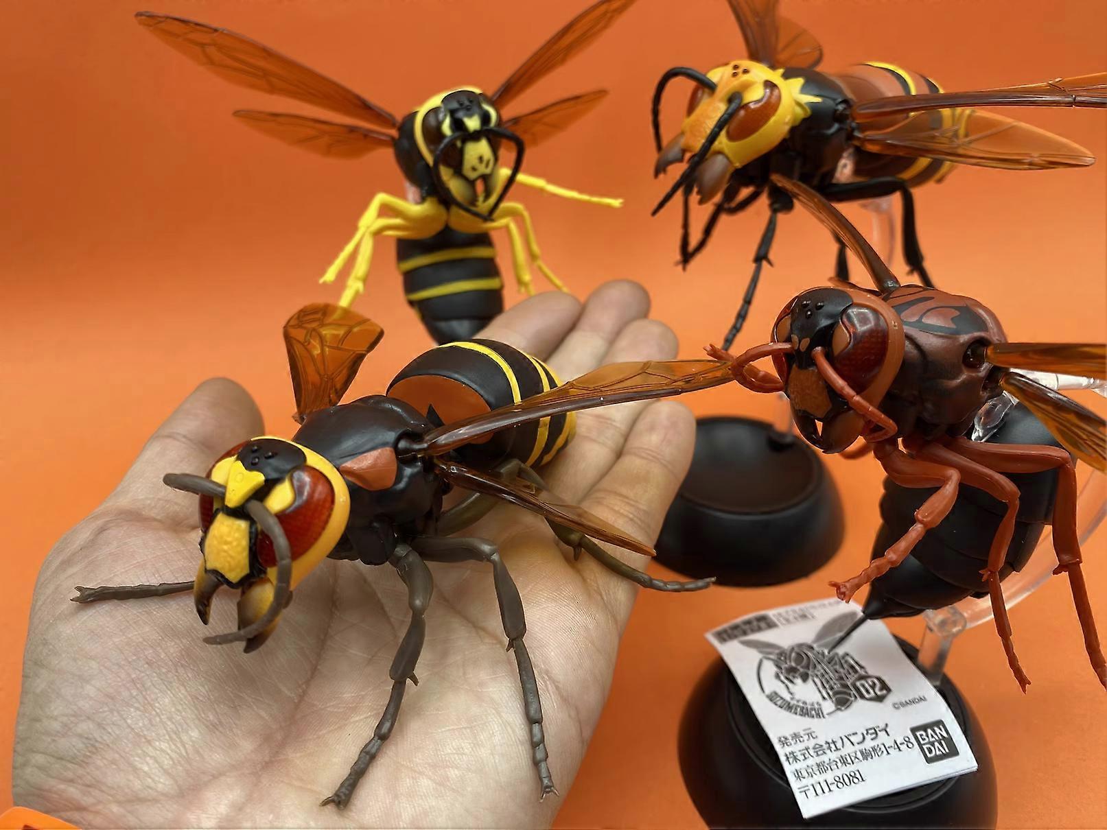 Pre-sell Bandai Japanese Gashapon Egg Big Biological Map Of Hornet ...