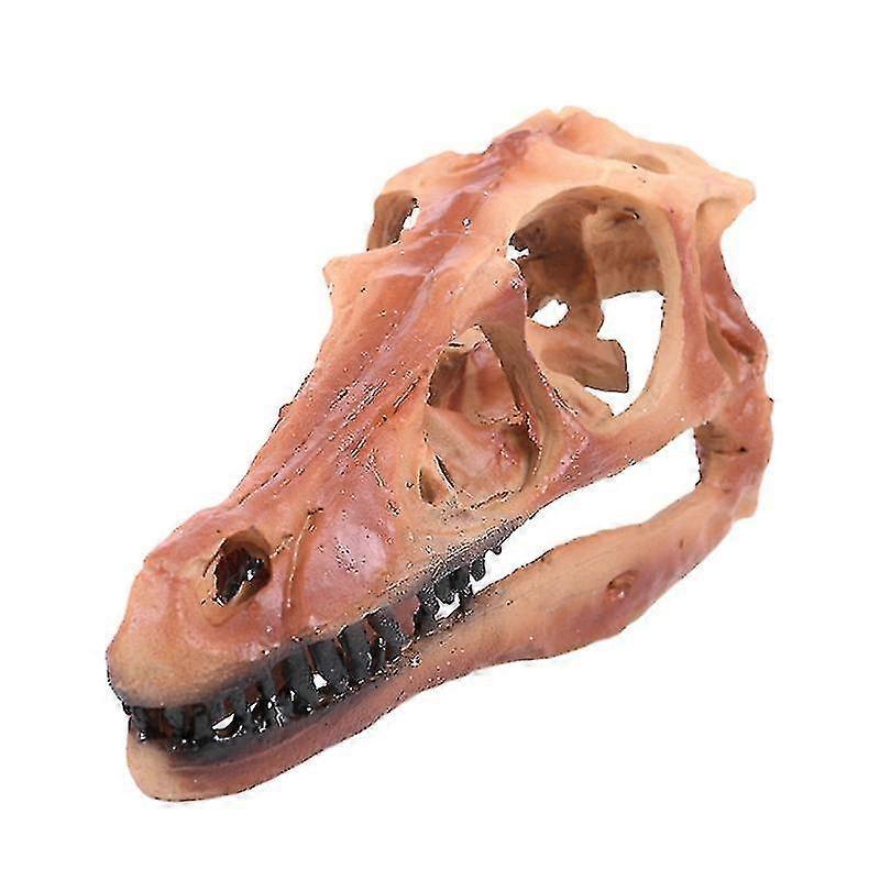 1pcs Desktop Ornament For Decorations