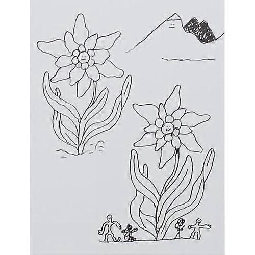 Max, Maria, Andi & Co.