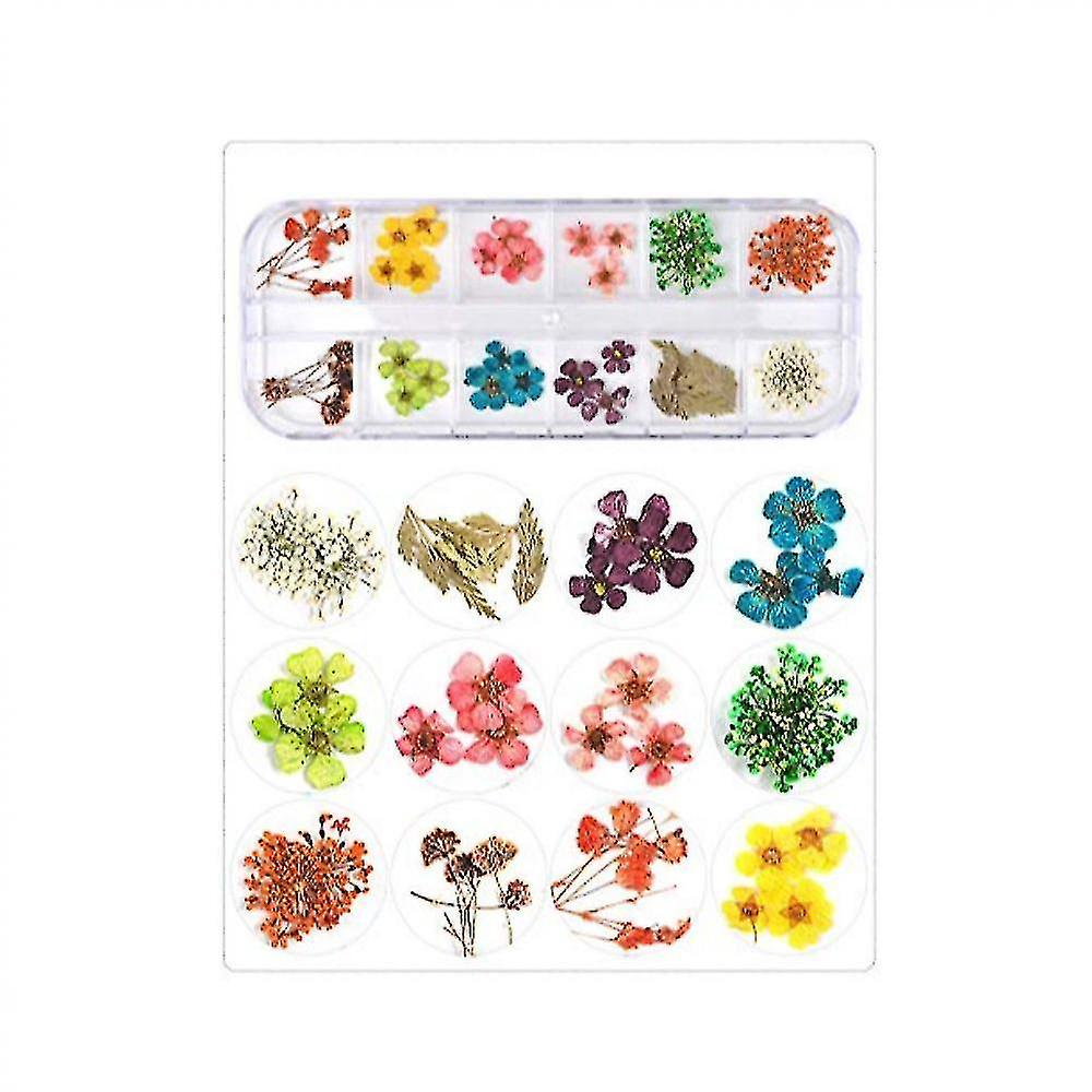 ドライフラワーネイルアートアクセサリードライフラワーカラフルライフネイルフラワーステッカー12色色C