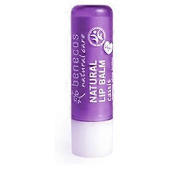 Organic blackcurrant lip balm 1 unit (Currant)