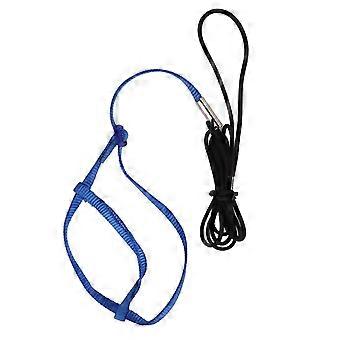 Parrot Harness Guinzaglio Regolabile Bird Flying Harness Traction Rope con Gancio per Uccelli ParrotsRoyalblue L