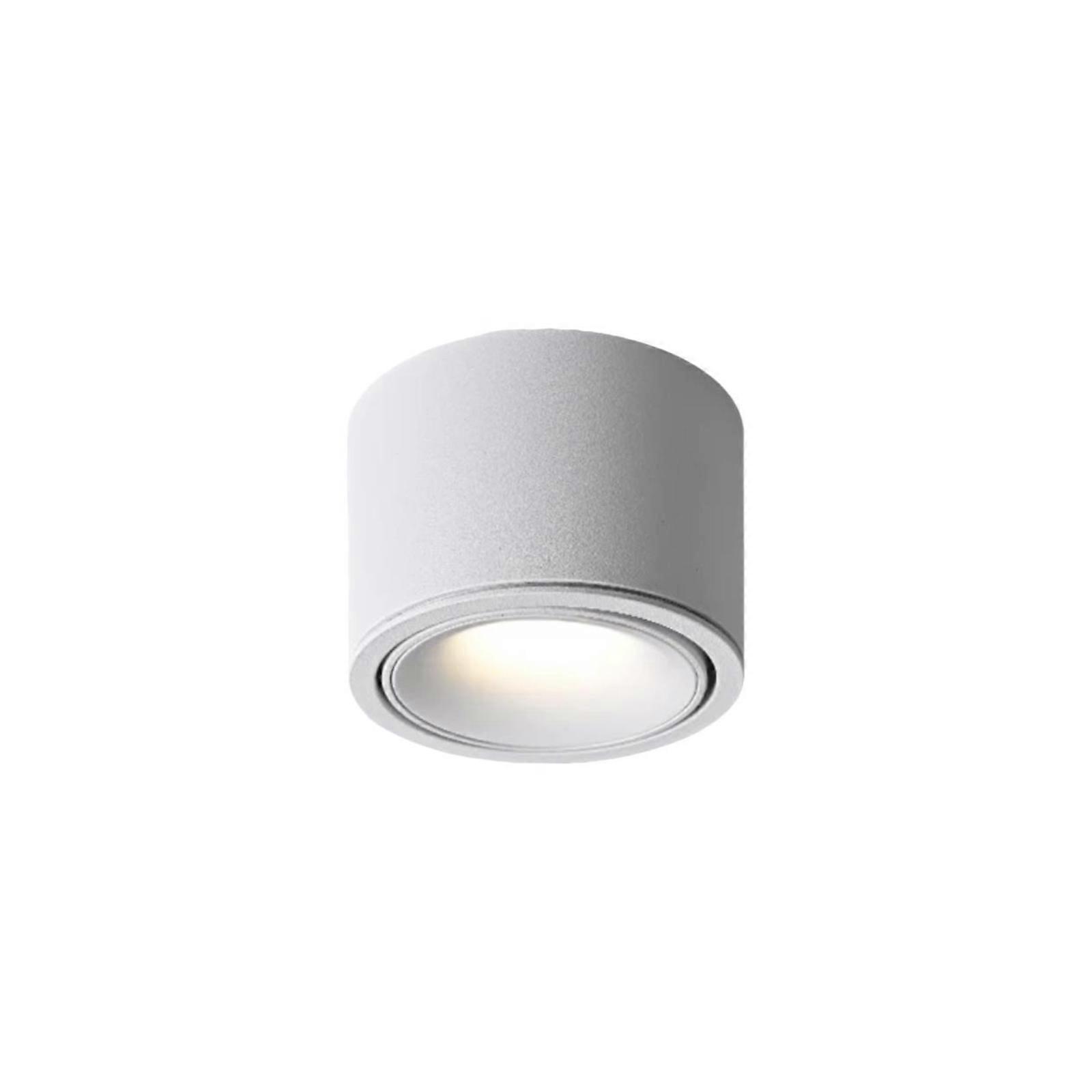 Slimline adjustable light-emitting diode spotlight, surface mount ceiling light