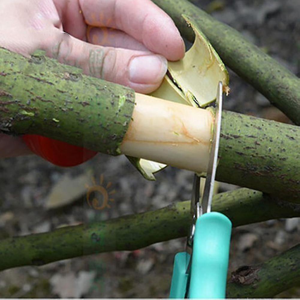 Ring Bar Girdling En Fruit Tree Pruning Tool