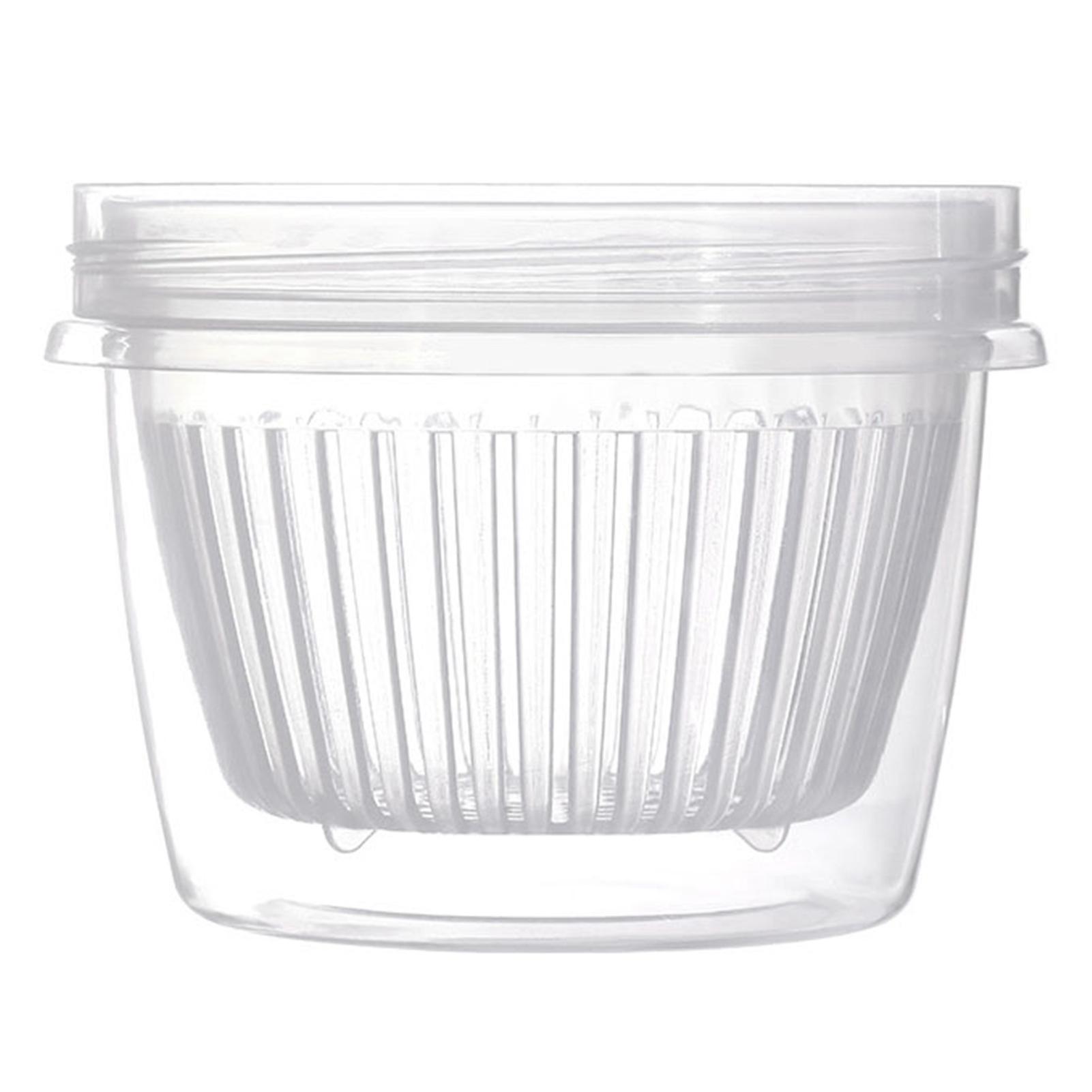 Fridge Scallion Box Airtight PP L Size Transparent Reusable Scallion Crisper for Ginger Garlic