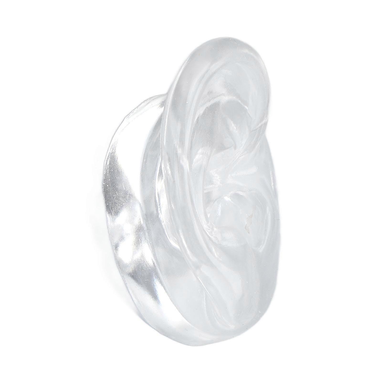 Silicone Right Ear Model Waterproof Transparent Ear Teaching Model for Sound Aid Display M