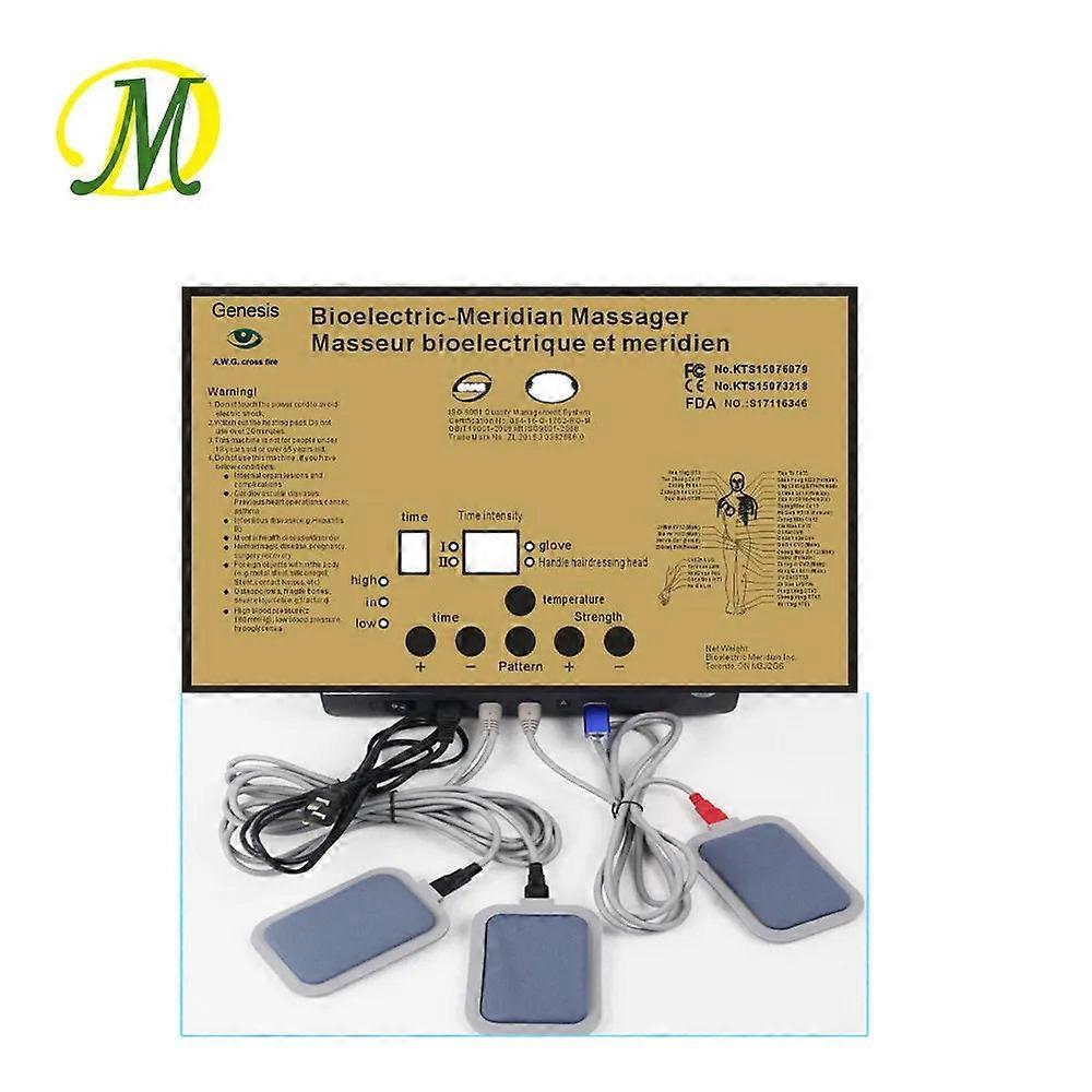 Hua Dds Bio Electric Massage Electrotherapy Therapy