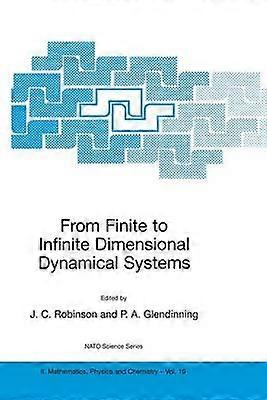 From Finite to Infinite Dimensional Dynamical Systems