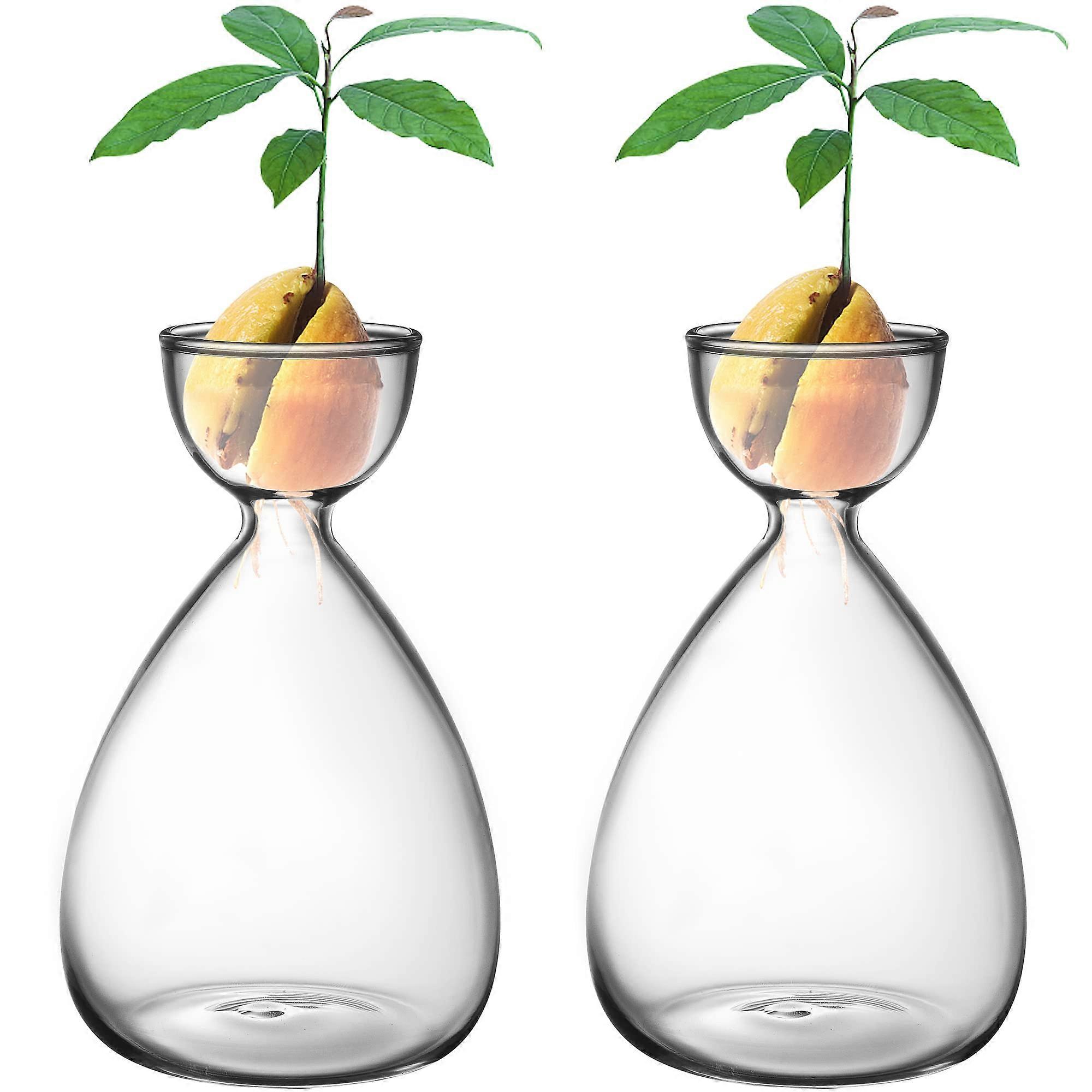 Kleine Avocadokern-Startervase 2er-Set, Hydrokultur-Pflanzgefäße aus klarem Glas für Gartengeschenke und Liebhaber