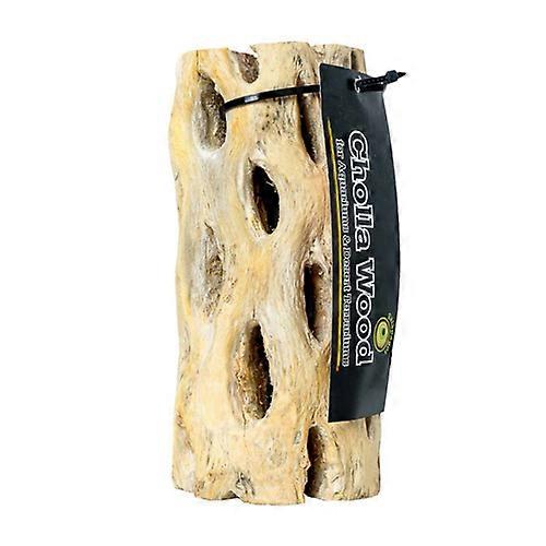Galapagos Cactus Skeleton Cholla Wood, Brown, 1 Each/12 in