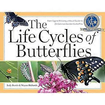 The Life Cycles of Butterflies From Egg to Maturity a Visual Guide to 23 Common Garden Butterflies