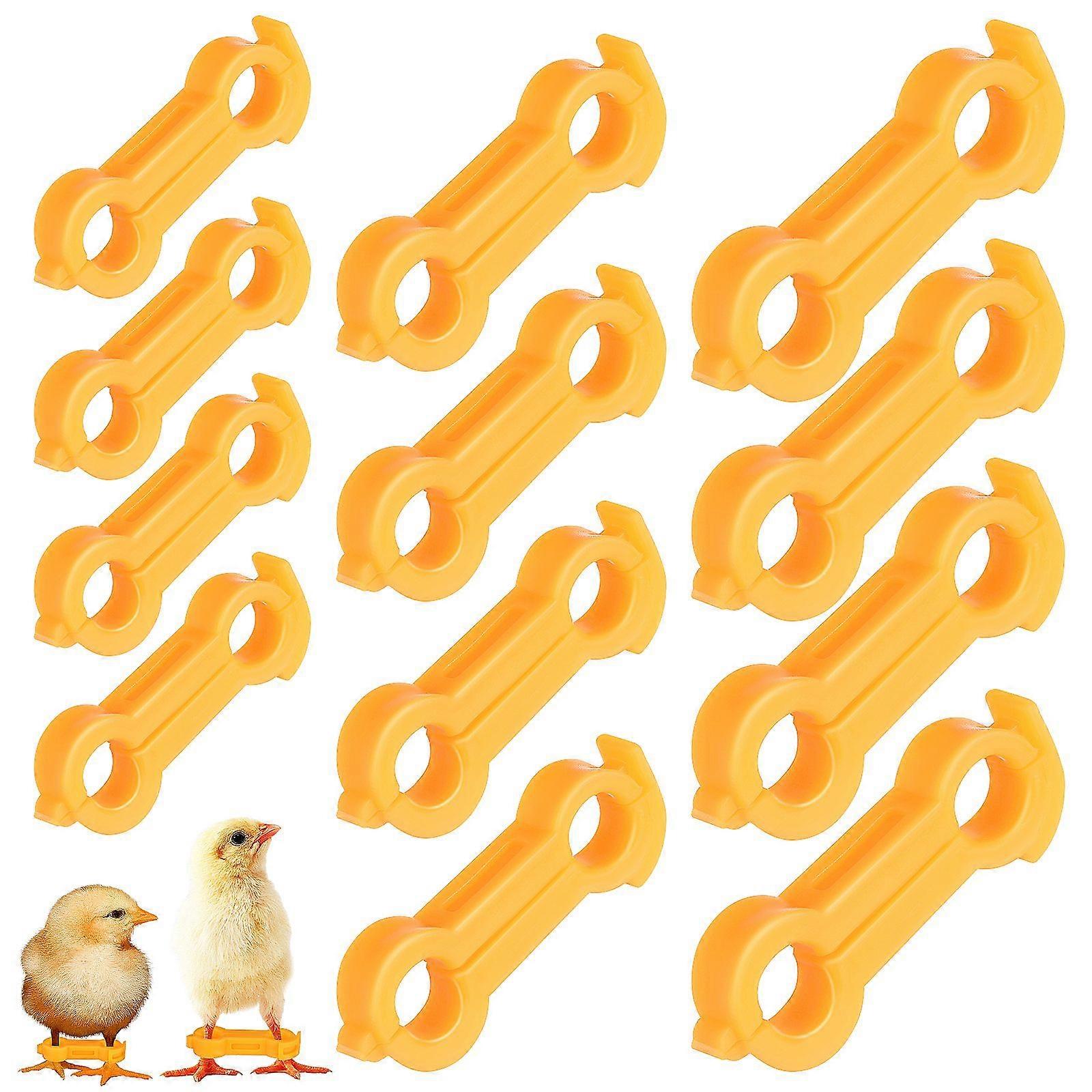 12pcs σταθεροποιητής ποδιών κοτόπουλου Baby Birds Splay Leg Correction Band Newborn Chicken Leg Brace Support Bird Leg Support Bird Leg Support