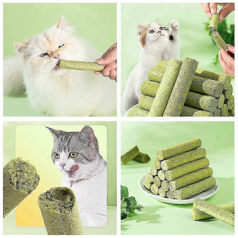 Cat Grass Teething Stick,Cat Grass Teething Stick Cuddles & Meow Teeth Clean