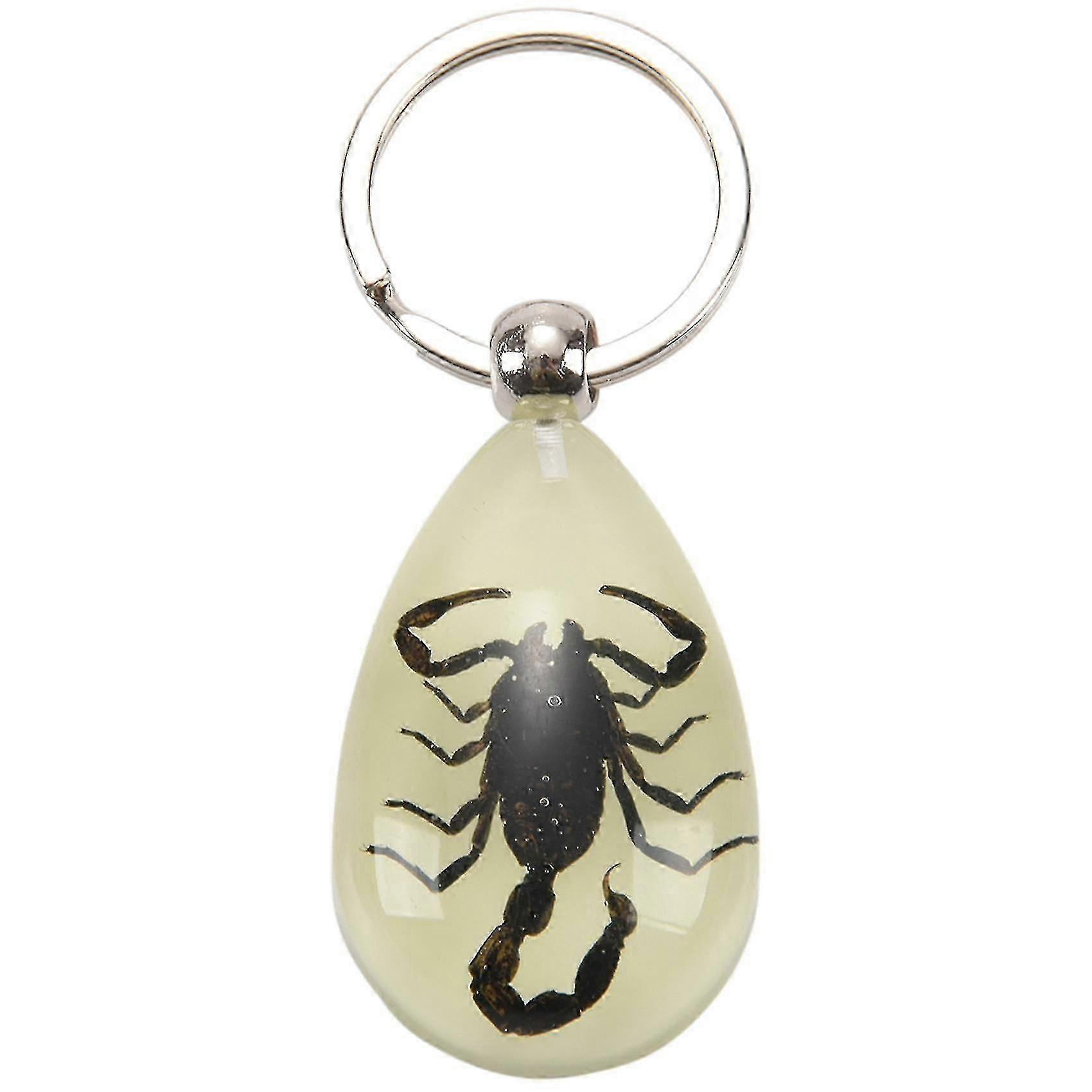 Glow-in-the-dark Real Insect (black )