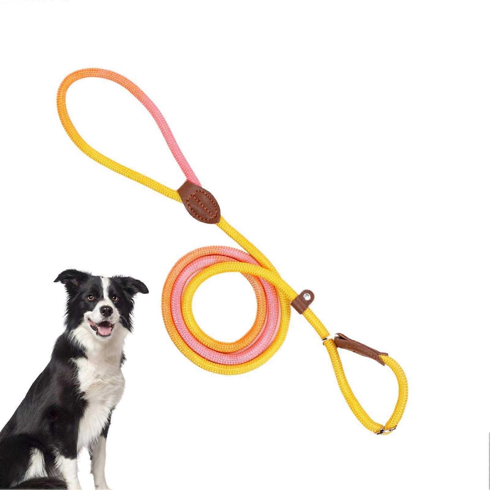 Pet Harness for Dogs  NoPull Adjustable Nylon Leash  EscapeProof Orange M