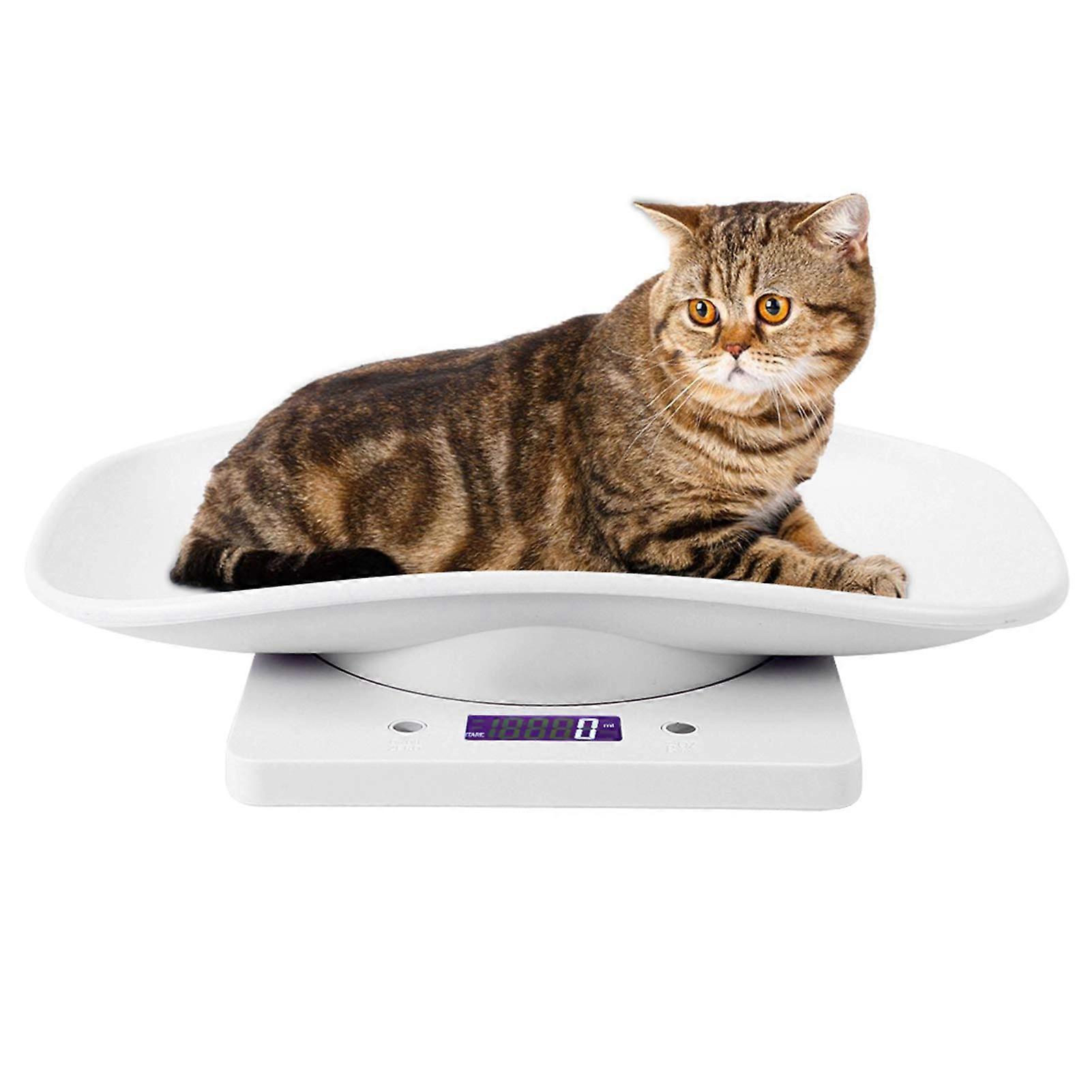 Digital Pet Scale, 10kg/1g, g/ml/oz/lb, oz Unit Switch, Electronic LCD Scale, Measuring Small Dog Cat Food for Small Pets