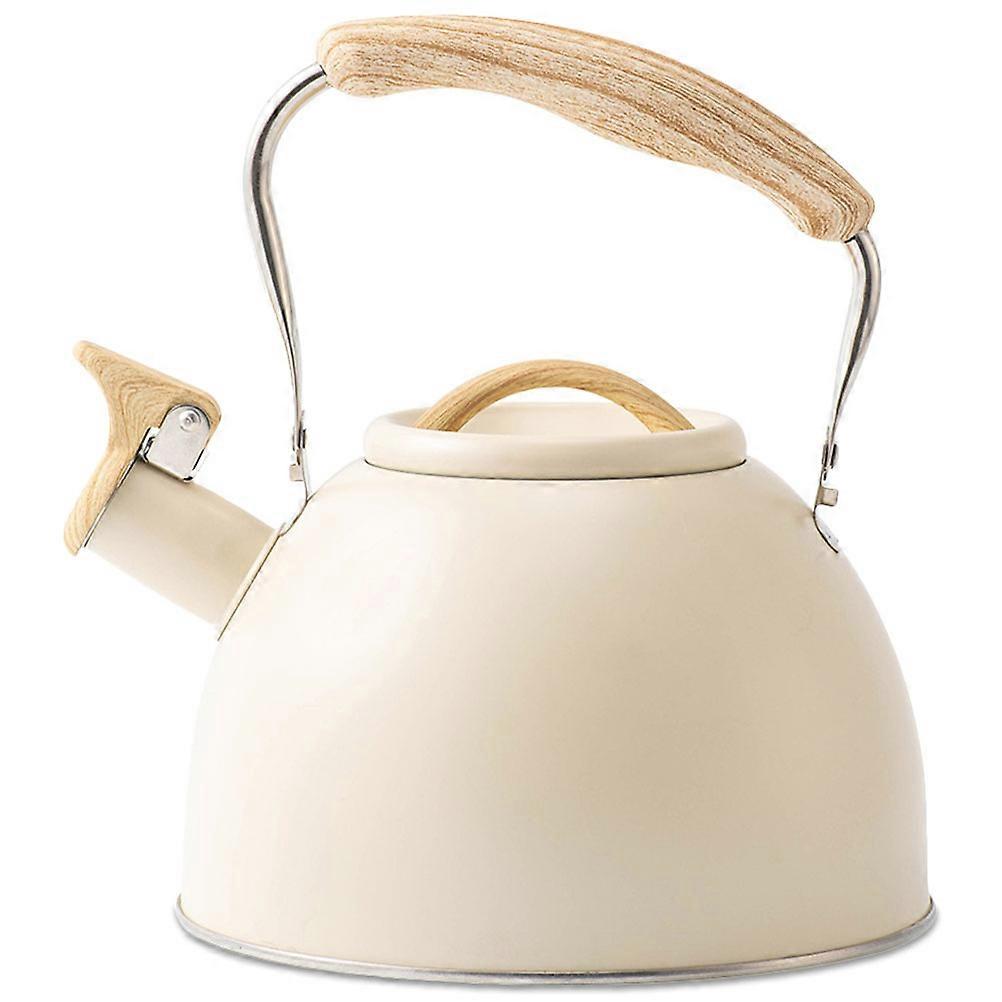 Stainless Steel Kettle for Stove Top with Handle 3L