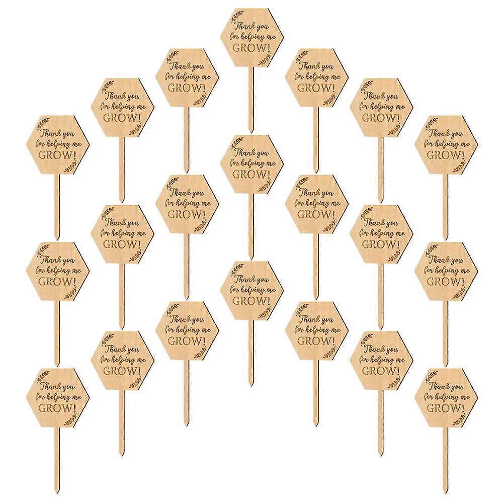 Plant Markers Wood Plant Tags for Garden Use 200Pcs Khaki Labels