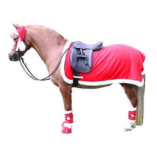 Hy Standard-Neck Santa Christmas Horse Exercise Sheet