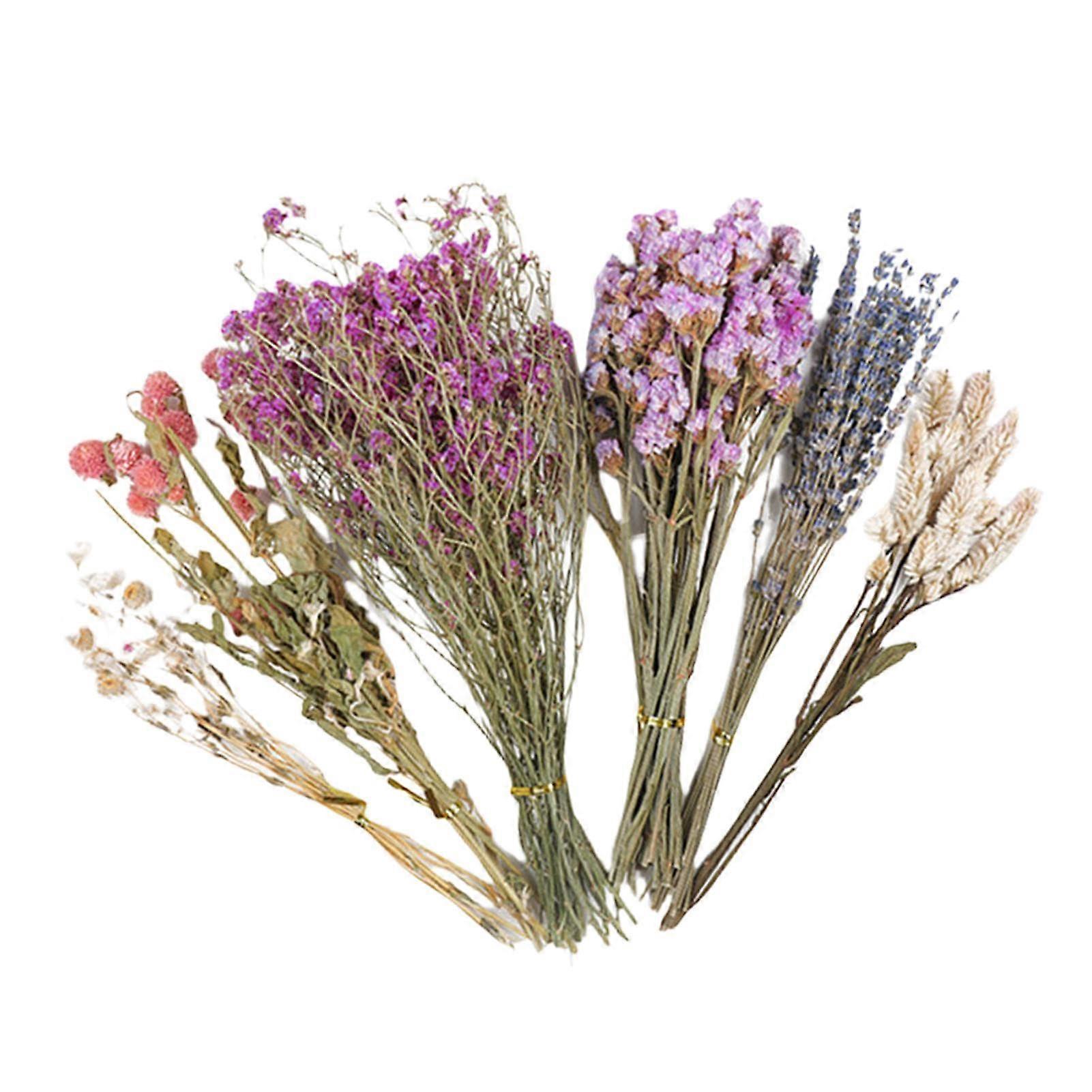 Natural Flower Hamster Bedding Additive Safe Material Decorative Cage Decor for Gerbils