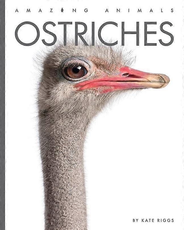 Ostriches