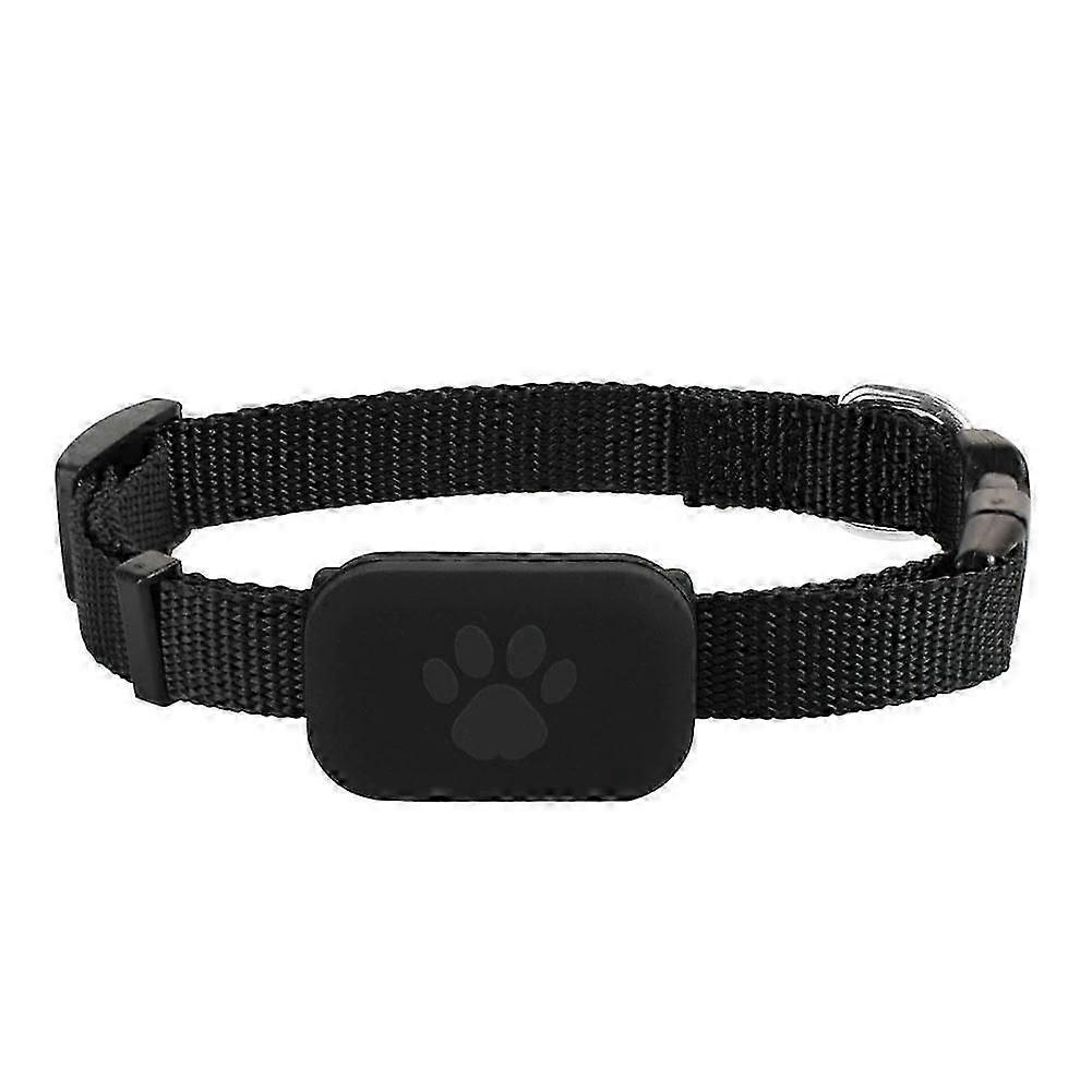 GPS Tracker for Small Dogs & Outdoor Cats
