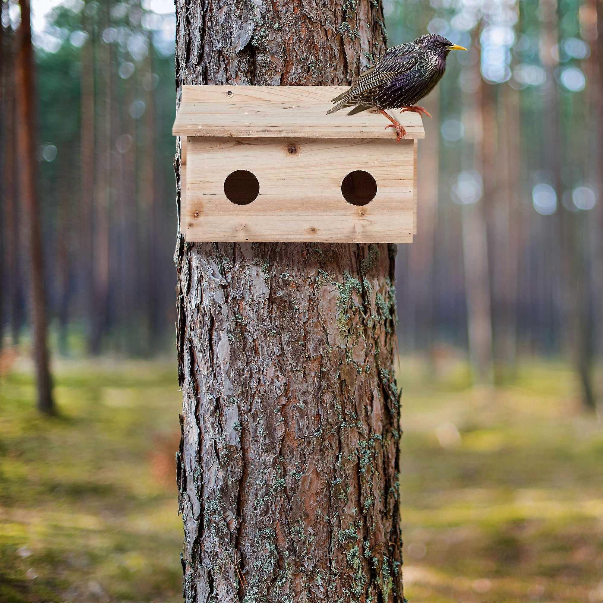 Nest for starlings