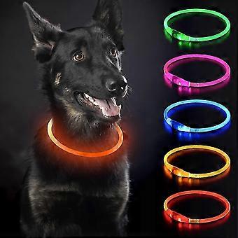 USB Rechargeable LED Dog Collar - Night Walking for Small Medium Large Dogs - tangerinr